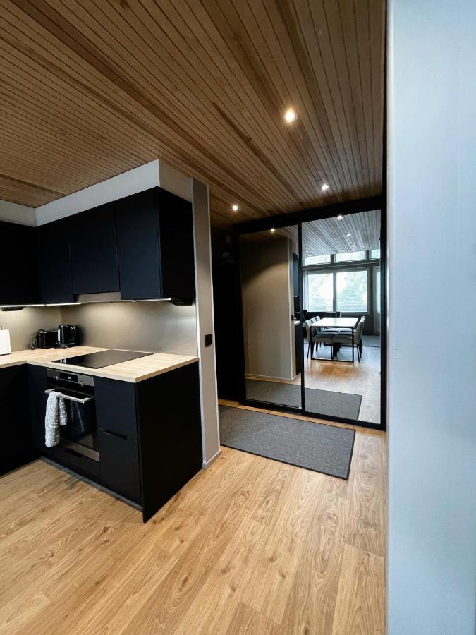 Levin Kunkku B Penthouse Aparthotel Εξωτερικό φωτογραφία